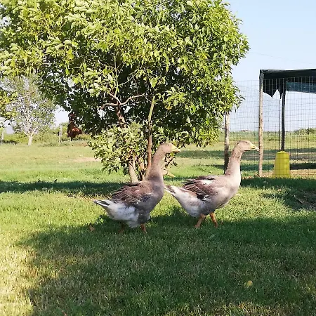 Le Folaghe Feriegård Terracina